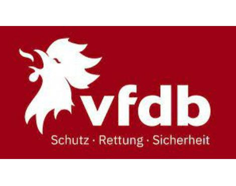 VFDB Logo
